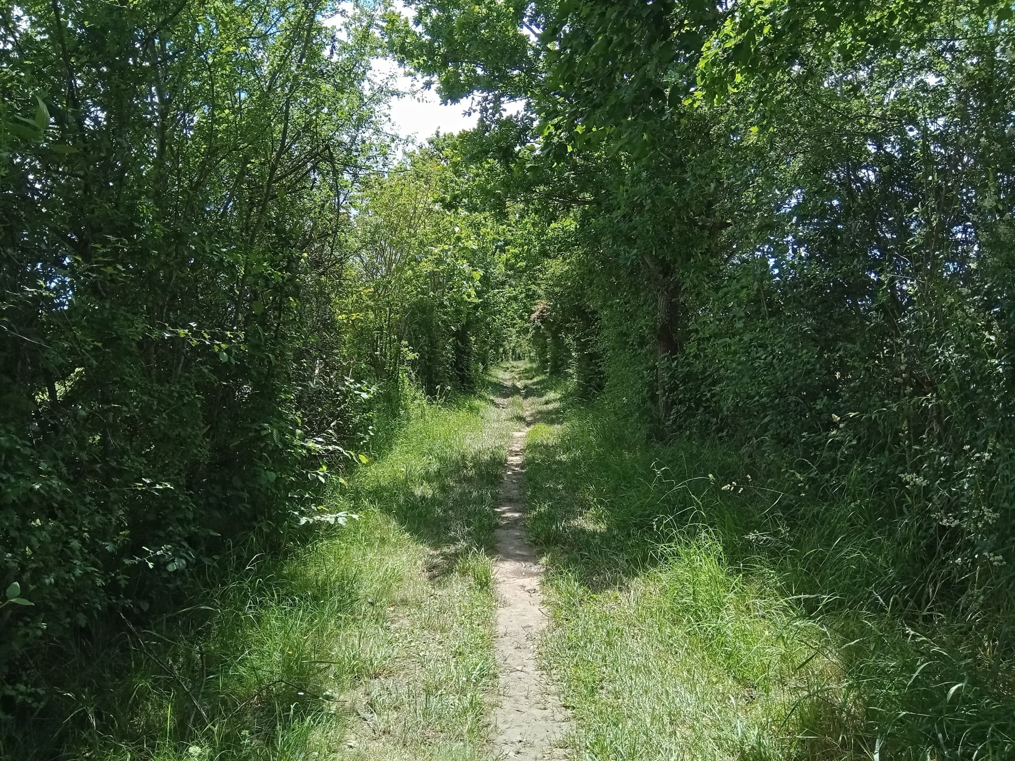 GR65, Lectoure to La Romieu